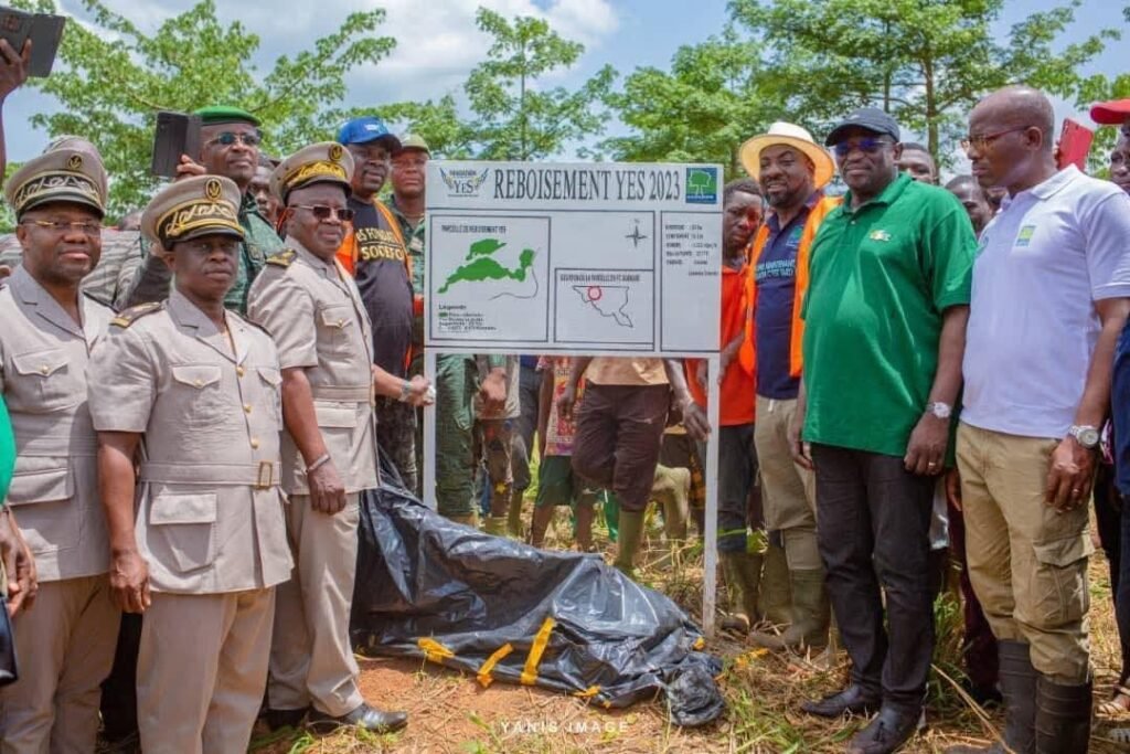 Engagement écologique : La Fondation YeS et ses partenaires redonnent vie à la forêt ivoirienne 2 photo Yes 1