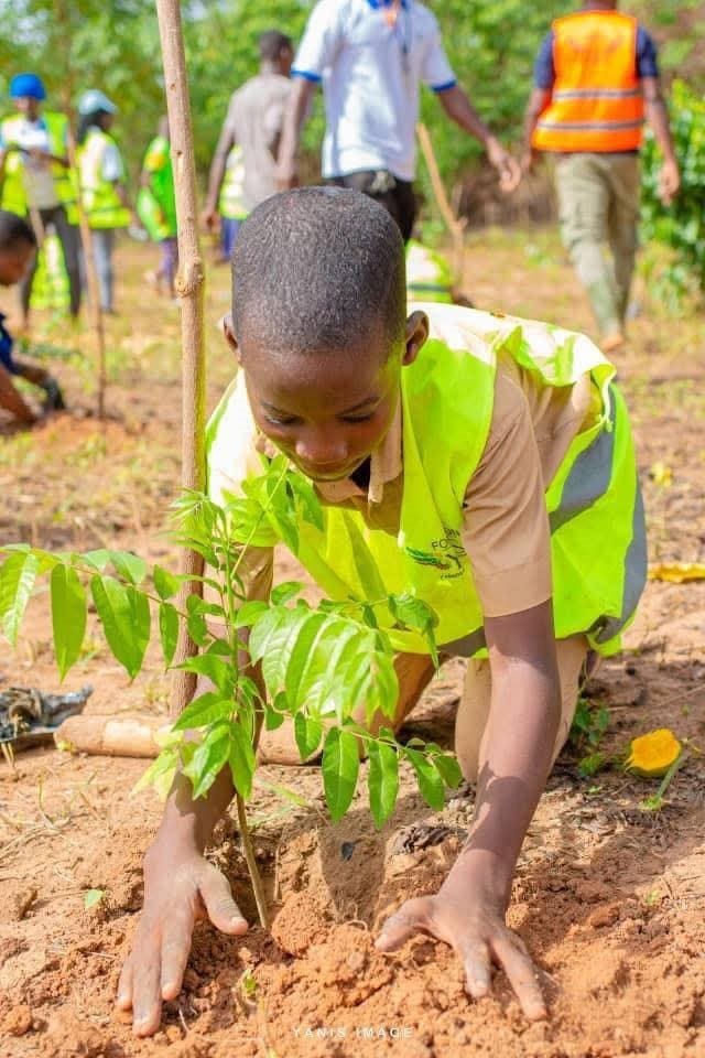 Engagement écologique : La Fondation YeS et ses partenaires redonnent vie à la forêt ivoirienne 3 photo Yes 4