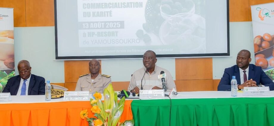 Campagne de commercialisation Karité 2025 : Le ministre d’Etat Adjoumani donne le top départ 1 photo karite 3