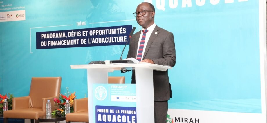 Forum de la finance aquacole : la Côte d’Ivoire mise sur l’aquaculture pour son autosuffisance alimentaire 1 photo Forum 1