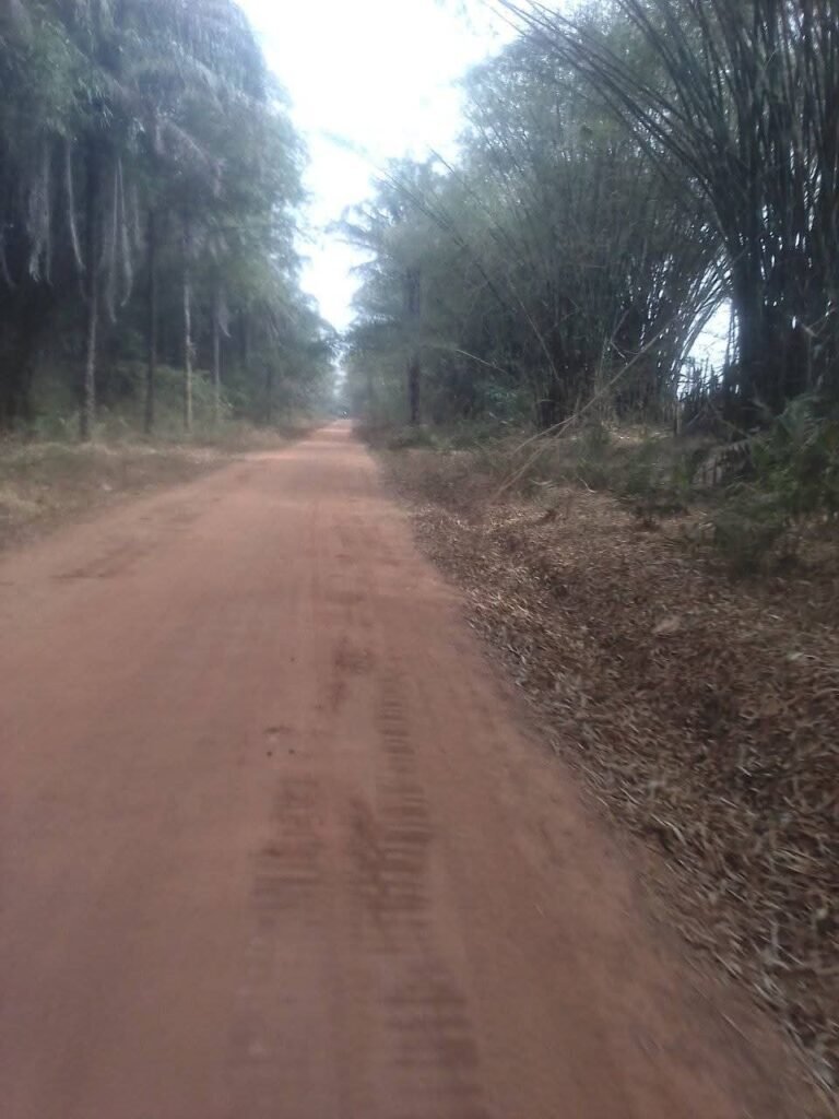 photo Loh Djiboua 3