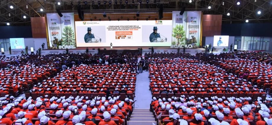 Cacao : Le Président Ouattara cadeaute les producteurs en fixant le prix bord champ à 2 800 FCFA / Kg 1 CACAO OK
