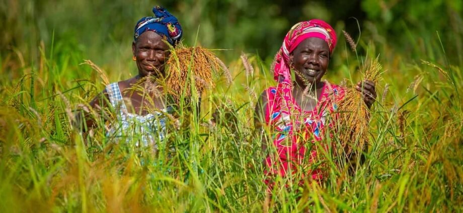8,54 milliards FCFA alloués à la BAD pour stimuler le financement agricole privé en Afrique 1 TOF BAD 2