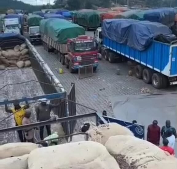 Cacao ivoirien : Alerte sur la qualité, plusieurs cargaisons refoulées au port de San Pedro 10 TOF CACAO