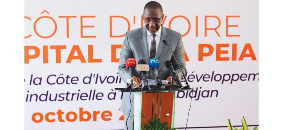 Côte d’Ivoire : L’État de Côte d’Ivoire renforce son ancrage industriel à travers son entrée au capital de la PEIA PK24 1 photo commerce 1