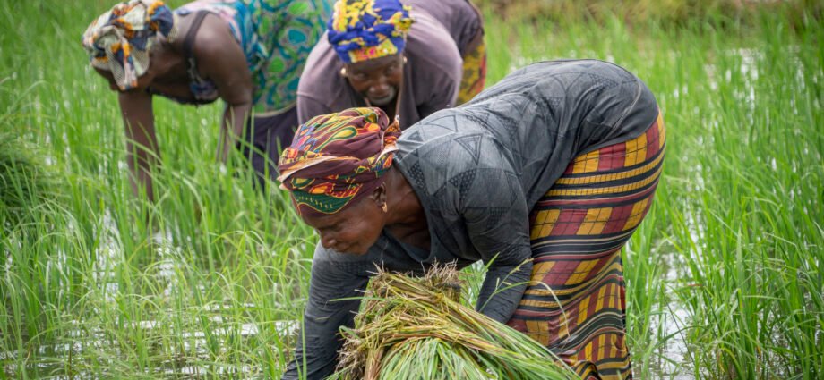 Le Fonds africain de développement accorde plus de 8,7 milliards de FCFA pour renforcer la résilience climatique des communautés du Sahel 1 TOF BAD