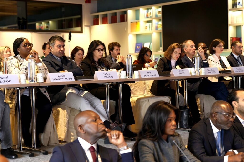 Conférence Europe-Afrique sur l’emploi des jeunes : La CNPS Côte d’Ivoire fait rayonner son modèle de réforme sociale 4 photo Cnps 3