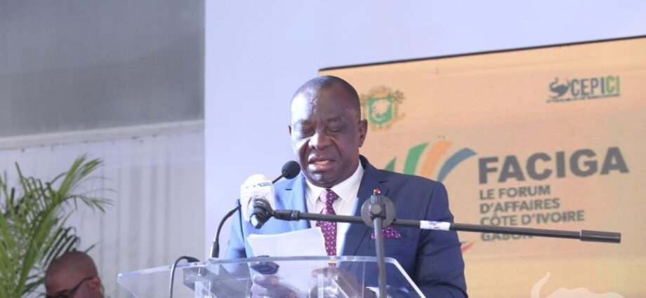 FACIGA 2025 : La Côte d’Ivoire et le Gabon posent les bases d’un nouveau modèle de coopération économique Sud-Sud 1 photo Gabon 1