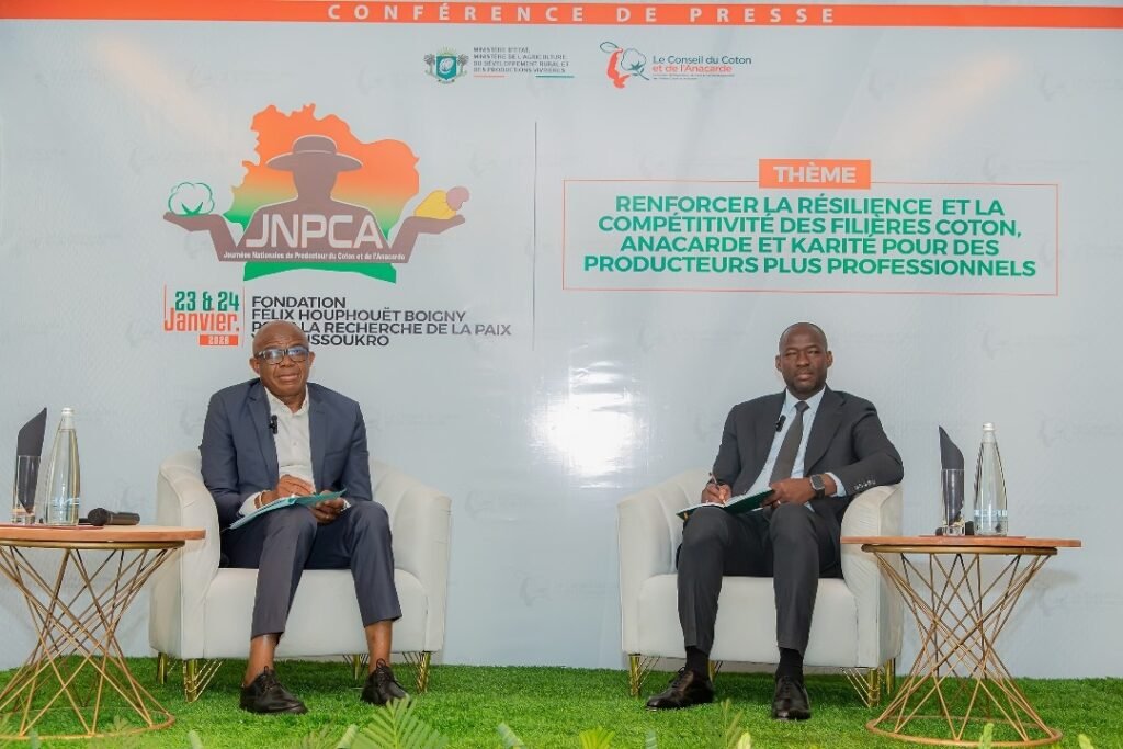Journées nationales du producteur du coton, de l’anacarde et du karité (JNPCA 2026) : Cap sur Yamoussoukro pour une édition élargie et ambitieuse 2 photo anacarde