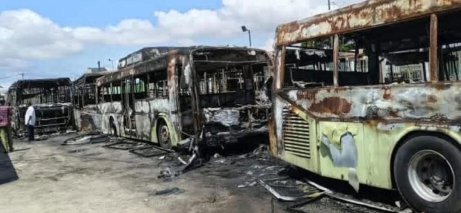 photo bus calcine