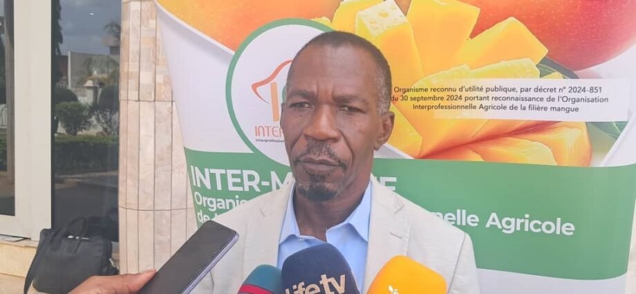 Interprofession Mangue : Pascal NEMBELESSINI-SILUE reconduit pour un mandat de 3 ans 1 photo mangue 1