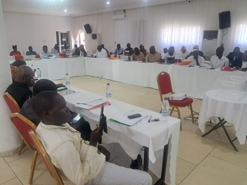 Interprofession Mangue : Pascal NEMBELESSINI-SILUE reconduit pour un mandat de 3 ans 2 photo mangue 2