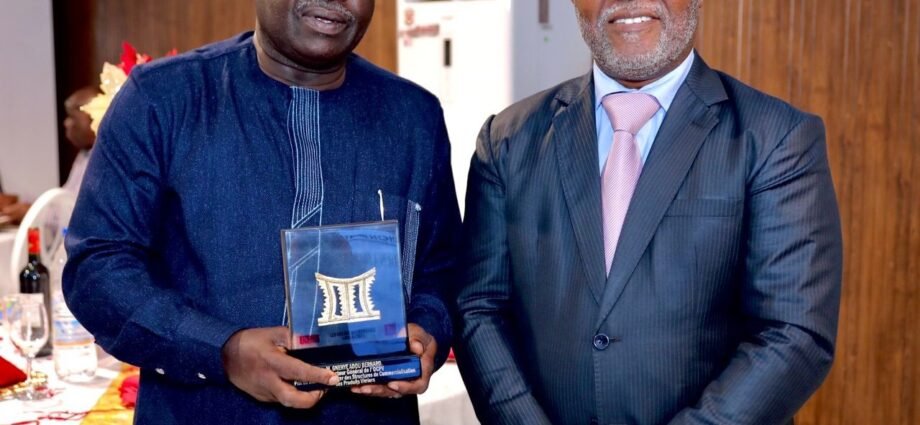 Distinction : Bernard Gnenye Adou doublement primé aux Awards de l’Économie 1 photo OCPV 3