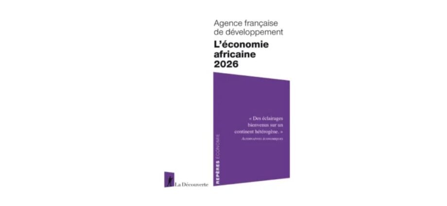 L’AFD dresse une nouvelle radiographie de l’économie africaine 1 AFD