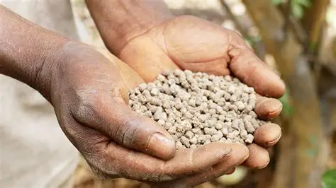 Aliments pour bétail et animaux de basse-cour, les intrants des engrais : L’État ivoirien instaure un Tva de 9 % 3 INTRANTS