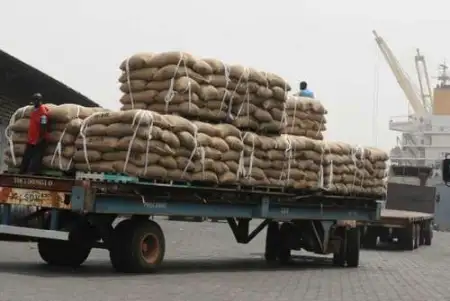 Café-cacao : 62 camions en infraction identifiés dans les zones portuaires d’Abidjan et de San- Pedro 6 camion cacao ci
