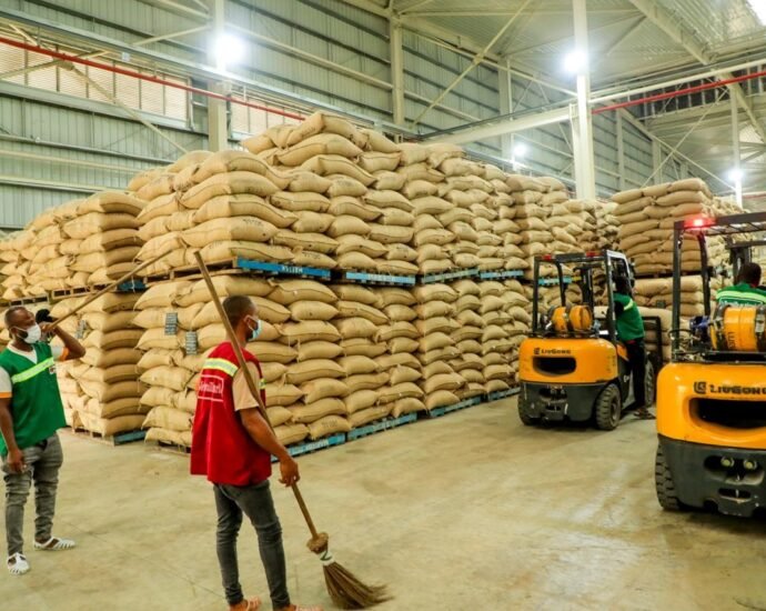 Opération de déchargement de cacao pour la campagne principale 2025-2026 : Yves Brahima active le mécanisme d’urgence pour éviter l’asphyxie des producteurs 10 photo cacao 3