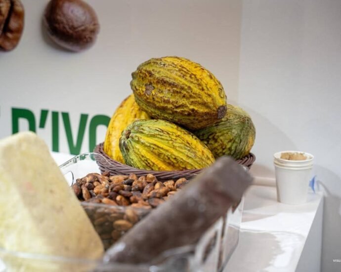 Salon International de l’Agriculture 2026 : Le Conseil du Café-Cacao met le savoir-faire ivoirien en vitrine à Paris 6 photo Conseil cafe cacao 3