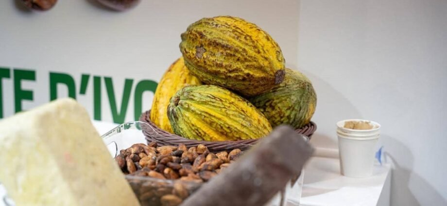 Salon International de l’Agriculture 2026 : Le Conseil du Café-Cacao met le savoir-faire ivoirien en vitrine à Paris 1 photo Conseil cafe cacao 3