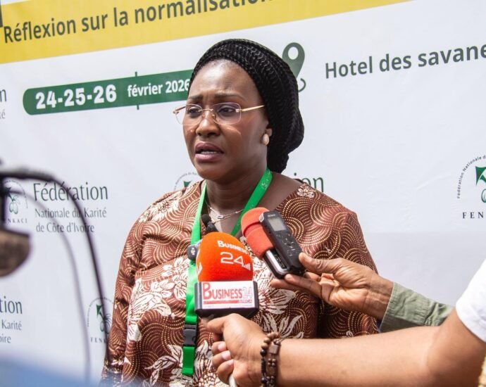 Korhogo : vers une filière karité normée et compétitive sur les marchés internationaux 2 photo Karite 1