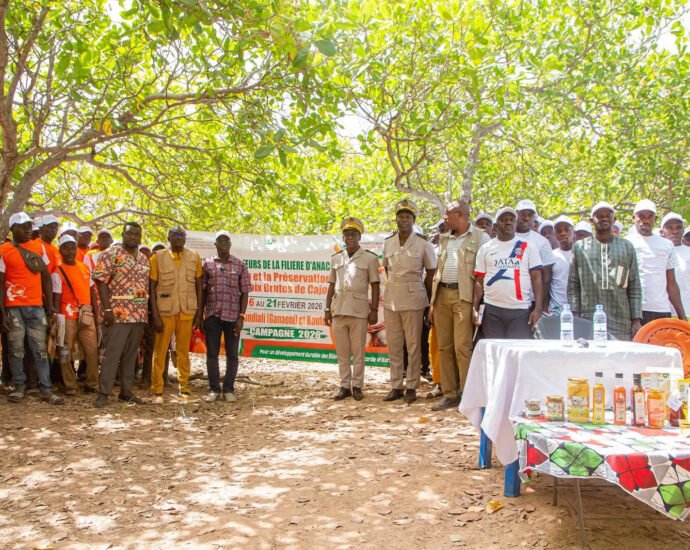 Clôture de sensibilisation à Kouto : La qualité au cœur de la compétitivité de l’anacarde 2026 8 photo Kouto