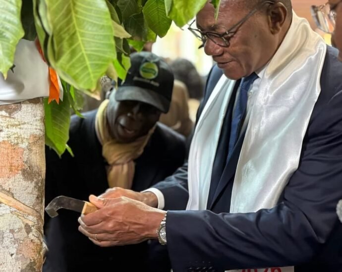 SIA 2026 : la Côte d’Ivoire déploie une participation stratégique avec l’APROMAC et ses filières agricoles 5 photo hevea 1