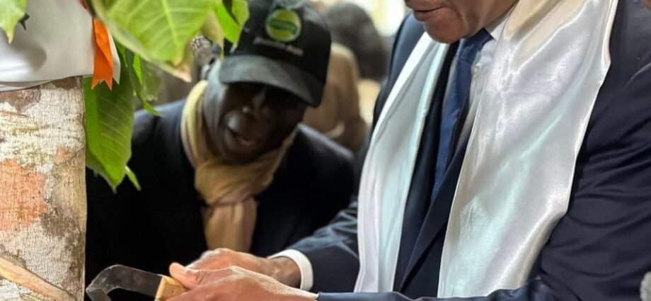 SIA 2026 : la Côte d’Ivoire déploie une participation stratégique avec l’APROMAC et ses filières agricoles 1 photo hevea 1