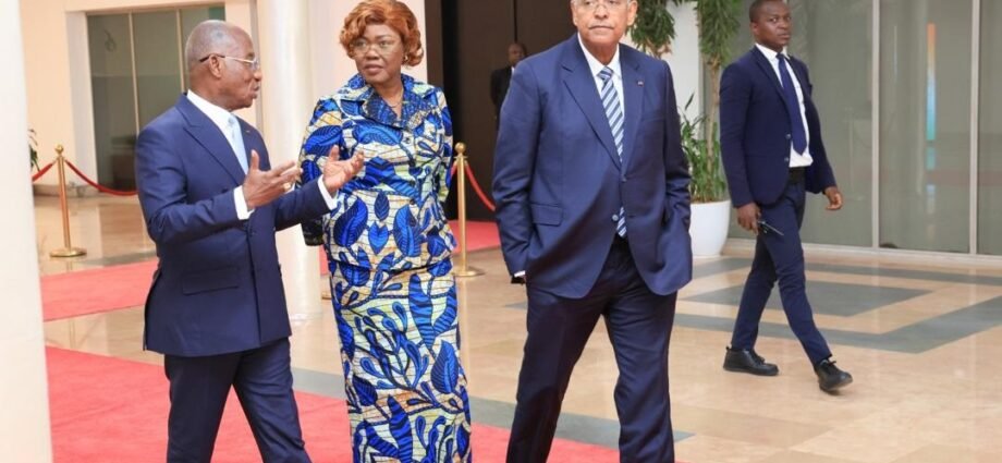 Côte d’Ivoire : Le parlementaire donne le feu vert pour la création de la Banque africaine de l’énergie (BAE) 1 photo Assemblee nationale 1