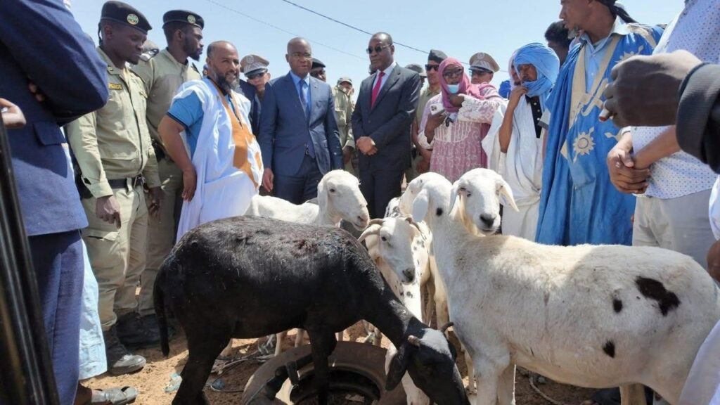 Coopération Sud-Sud renforcée : la Côte d’Ivoire et la Mauritanie s’accordent sur l’approvisionnement en bétail pour la Tabaski 2026 2 photo Mirha 3