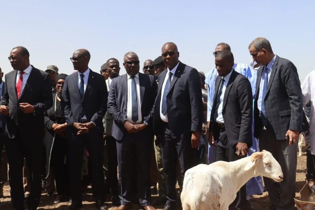 Coopération Sud-Sud renforcée : la Côte d’Ivoire et la Mauritanie s’accordent sur l’approvisionnement en bétail pour la Tabaski 2026 3 photo Mirha 4