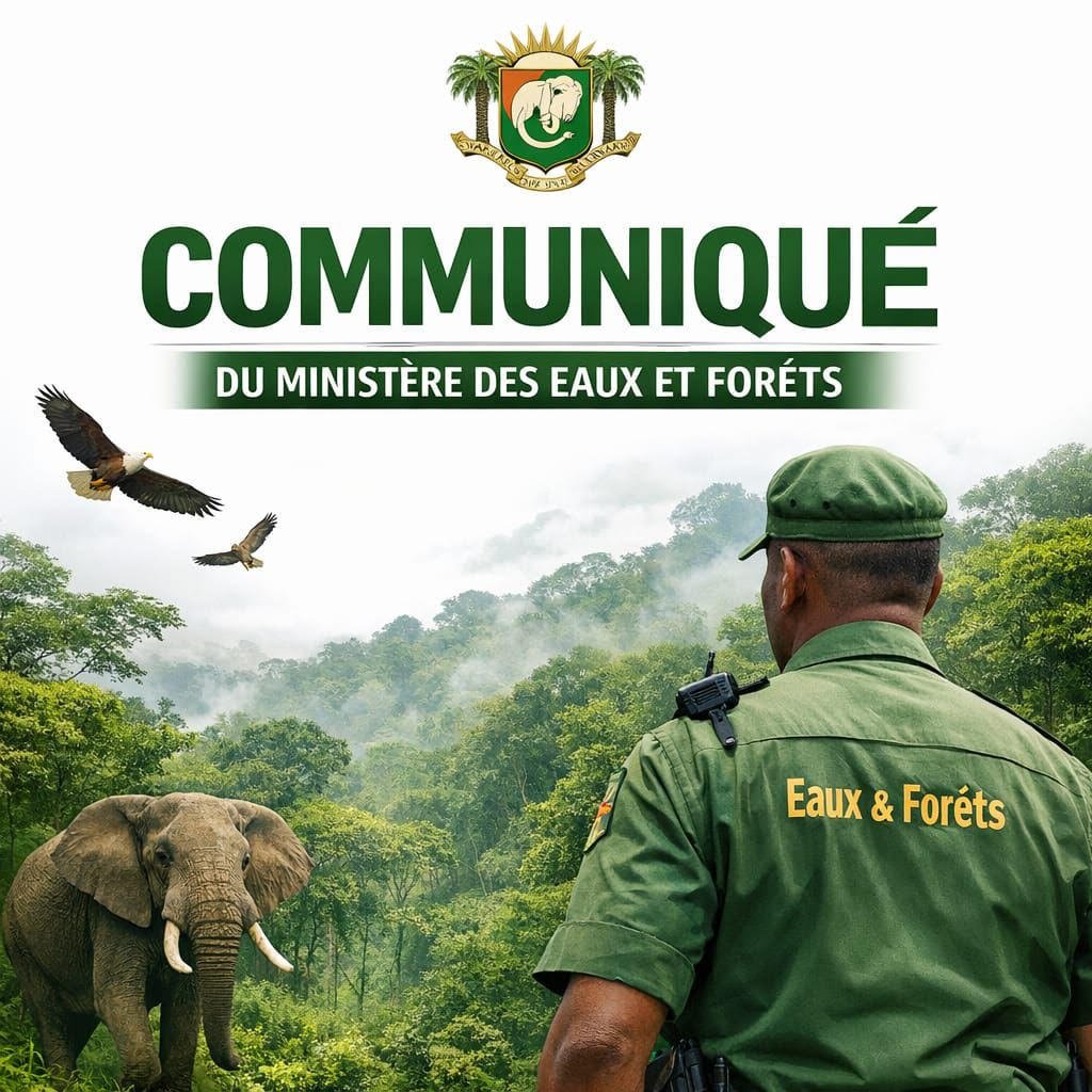 photo foret