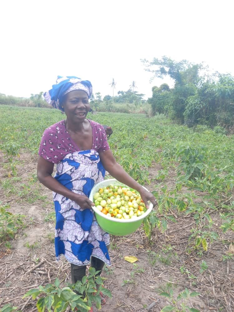 Lancement des activités des AVEC de CAYAT : les femmes rurales au cœur du développement 19 photo piment 5