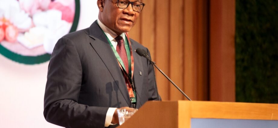 Panel de haut niveau sur la Production animale et transformation des systèmes alimentaires : Bruno Koné porte la voix de la Côte d’Ivoire 1 photo Maroc 1