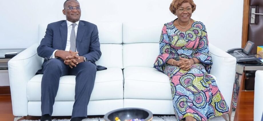 Coopération Côte d’Ivoire-RDC : Abidjan soutient Kinshasa dans la préparation de son recensement 1 photo Niale Kaba 5