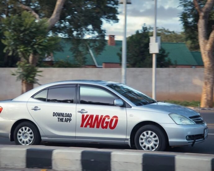 photo Yango 2