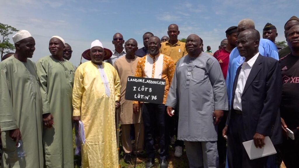 Parc à bétail de l’abattoir : une nouvelle cité pour les acteurs de la filière bétail-viande à Abidjan 6 photo boeuf 2