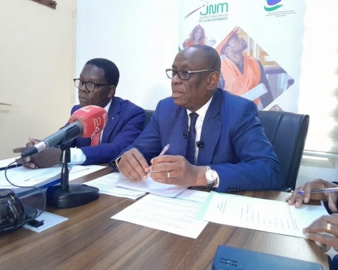 Digital, financement agricole, innovation : ce que visent les Journées nationales de la microfinance 3 photo inclusion financiere
