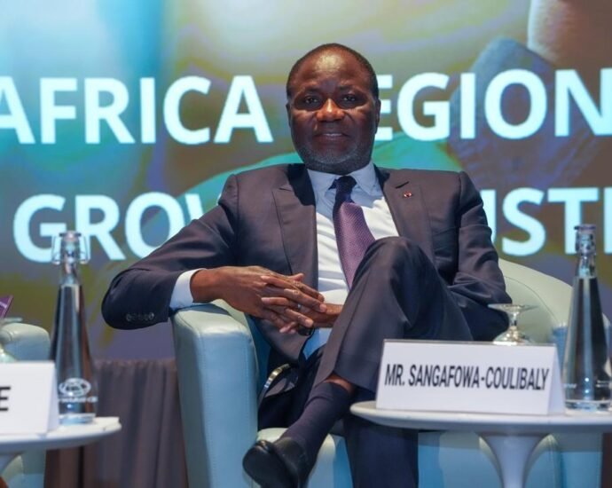 Panel sur l’industrialisation africaine : Mamadou Sangafowa présente une approche méthodique fondée sur des leviers concrets 8 photo mine 1
