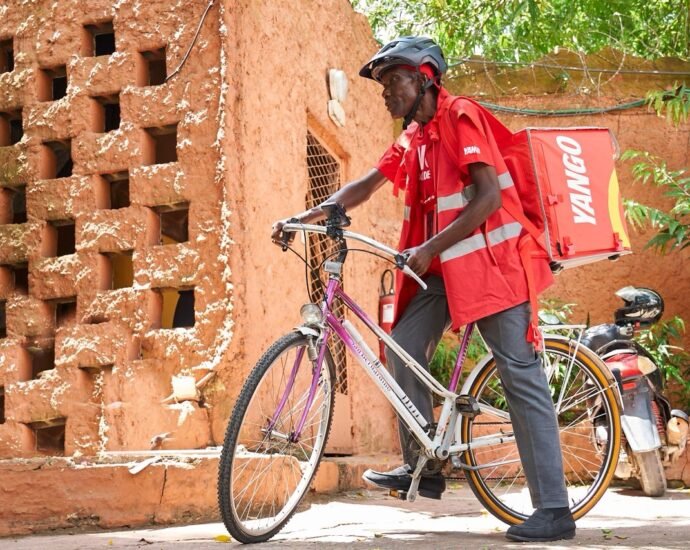 Le doyen des coursiers Yango : à presque 70 ans, il s’est hissé parmi les meilleurs 3 photo YANGO 3 1