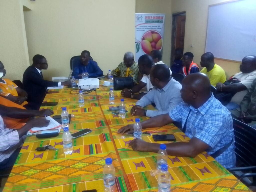 Campagne 2026 de la mangue : la filière ivoirienne retrouve son unité 4 photo mangue