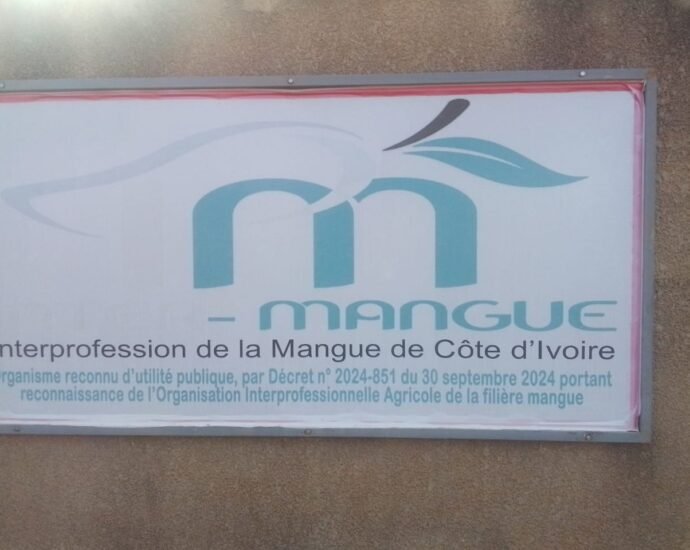 Campagne 2026 de la mangue : la filière ivoirienne retrouve son unité 7 photo mangue 3 1