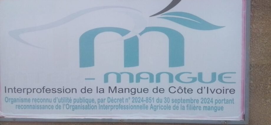 photo mangue 3