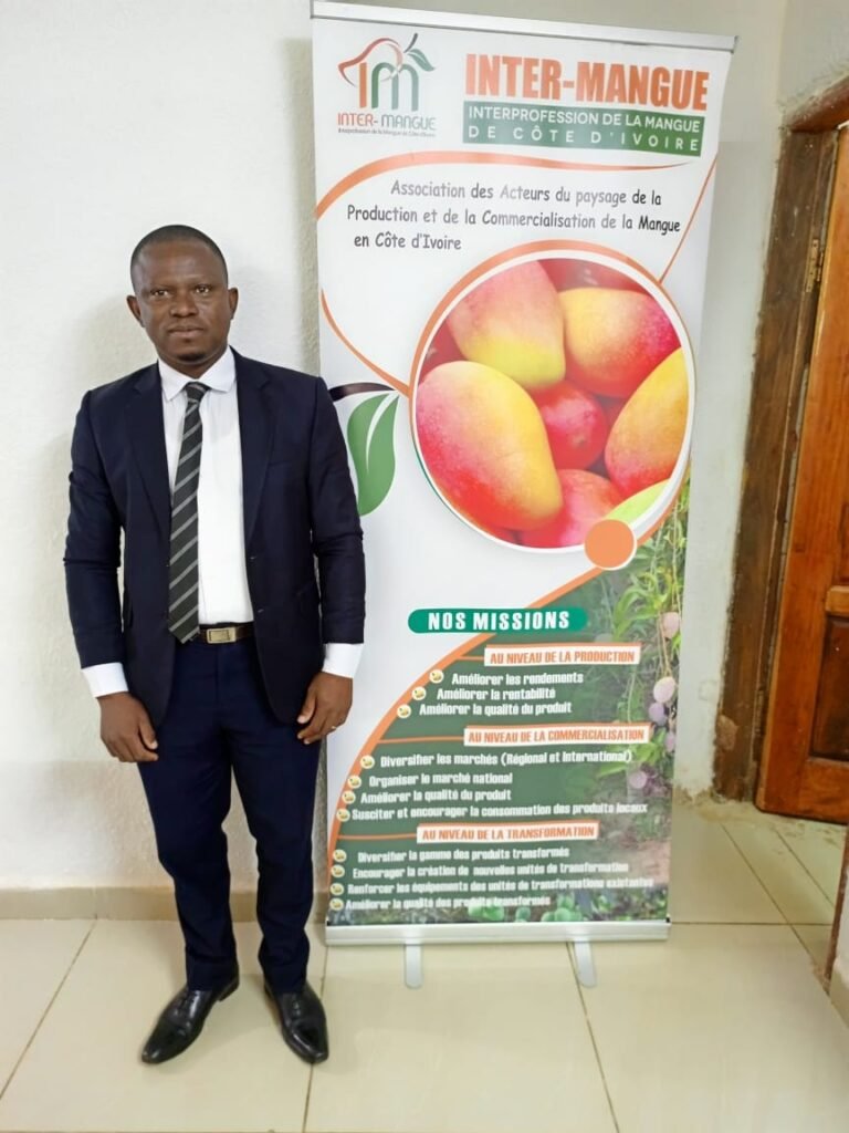 Campagne de commercialisation de la mangue 2026 : 15 cargaisons infestées détruites en Europe, la filière ivoirienne sous pression 3 photo mangue 4