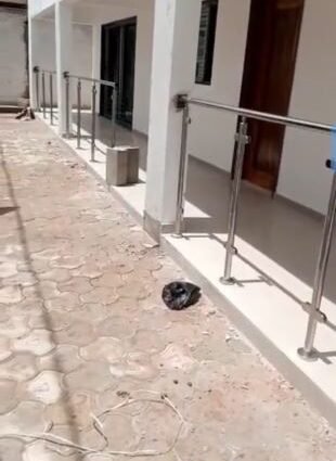 Plus de 4 millions FCFA impayés : Un artisan lance un appel contre l’entrepreneur Prospère Balagizi Lukama 1 YAKRO OK