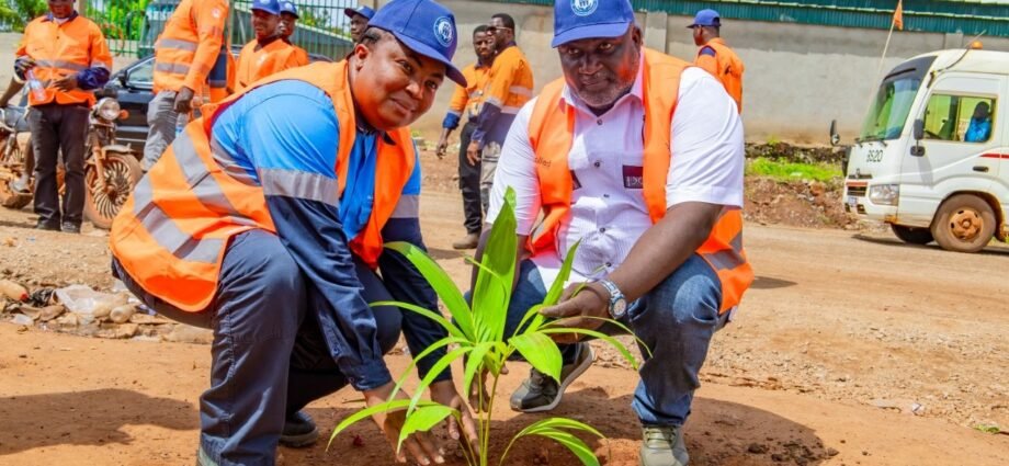 Reboisement : Allied Gold et la Fondation YeS plantent 5 000 arbres à Hiré 1 photo Yes 1