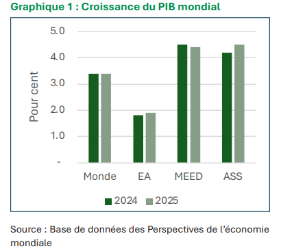 L'Afrique de l'Ouest Maintient sa Croissance Malgré la Crise du Détroit d'Ormuz 1 La BIDc est le bras financier de la CEDEAO