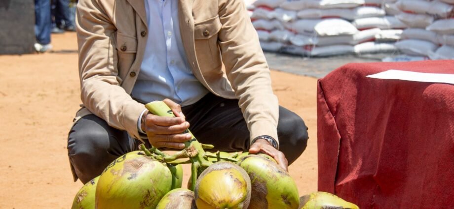 Crise du cacao, réformes et colère des producteurs : Les actions qui marquent les 8 mois de Bruno Koné 1 photo Bruno 1 1
