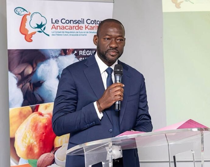 photo anacarde 1