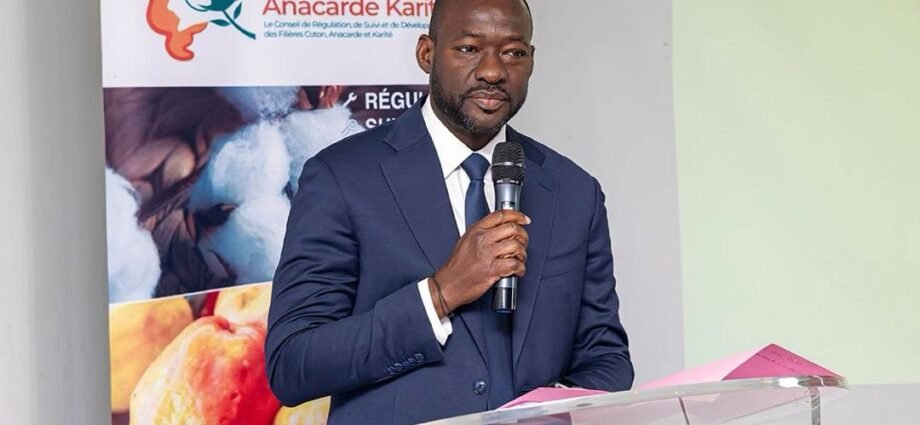 photo anacarde 1