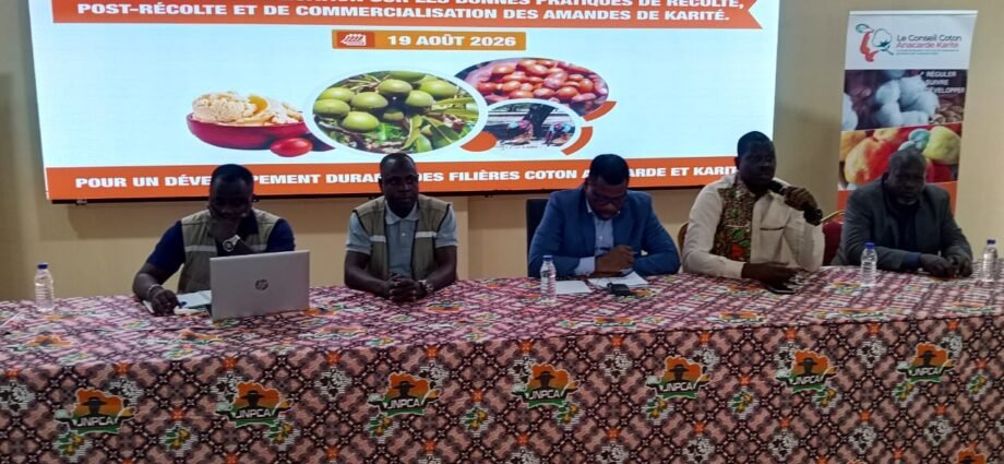 Korhogo : les acteurs du karité formés aux bonnes pratiques agricoles 1 photo karite 1